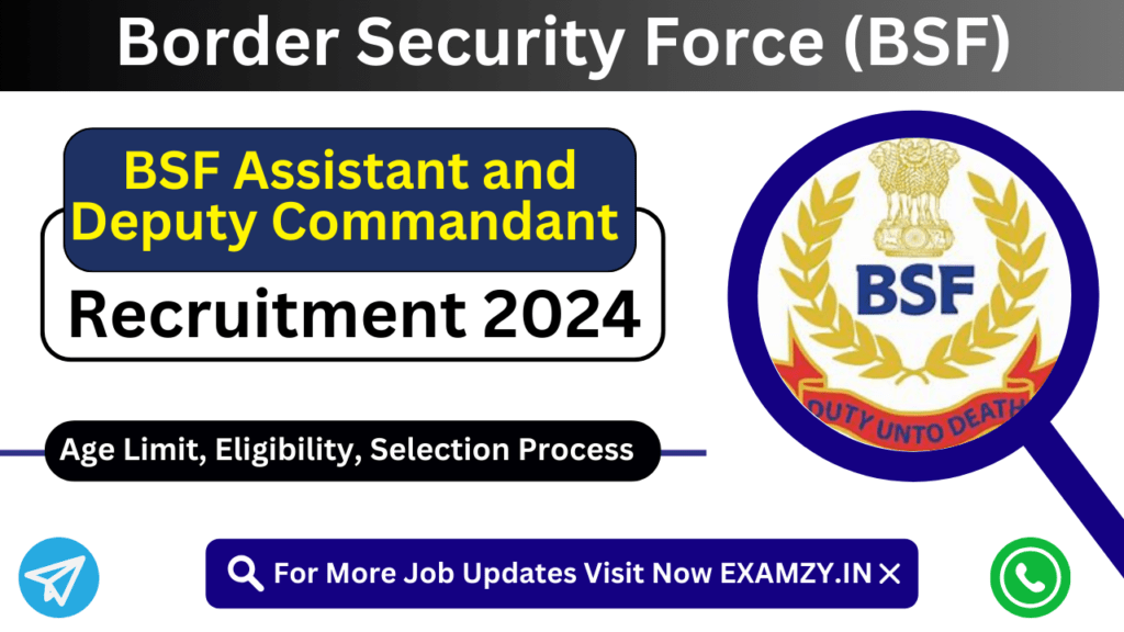 BSF Assistant and Deputy Commandant Recruitment 2024, Online Form 1 BSF Assistant and Deputy Commandant Recruitment 2024